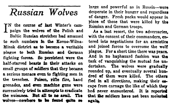 The original New York Times article, published July 29, 1917 and buried amid other tales of woe.